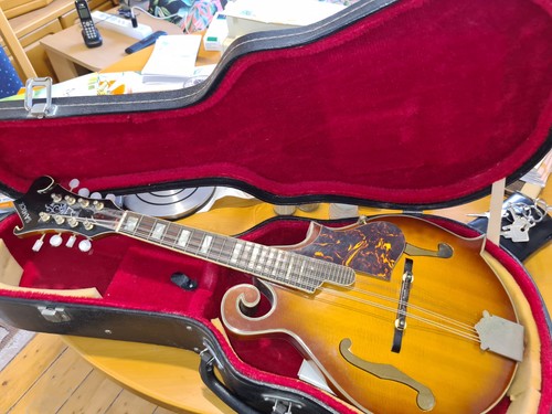 Samick mandoline stil - mandoline, sm