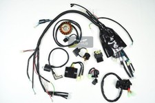 Kabelbaum Set Jinling Jla 21b 249 250ccm China Quad ATV Jingling Elektrik