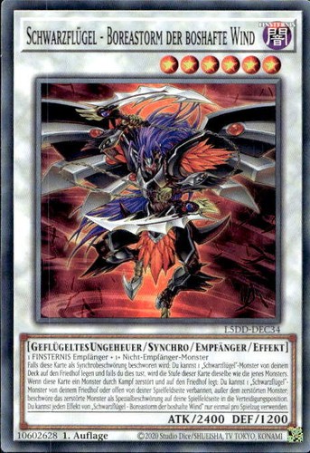 Schwarzflügel boreastorm - schwarzflügel,