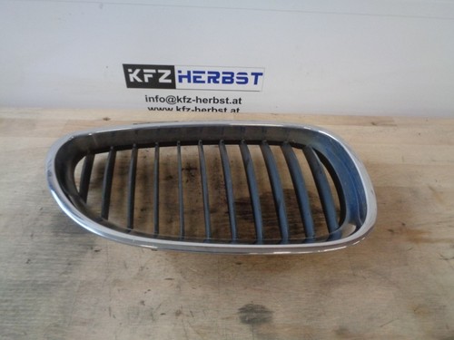 Bmw e60 frontgrill - frontgrill, niere