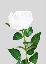 Real touch Rosen weiß 65cm