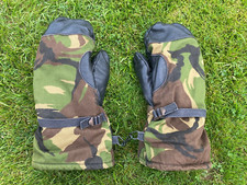 Niederländische Armee Arktis