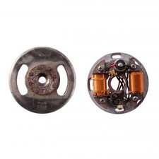 Schwungrad mit Stator Dansi