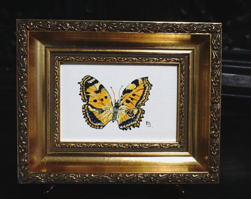Gemälde aquarell - gemälde,