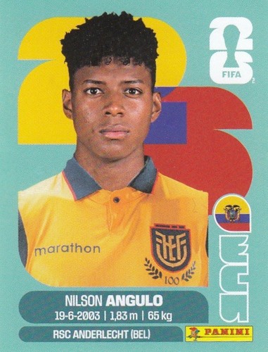 Panini sticker fußball - panini, wm