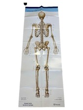 PROMETHEUS Lernposter der