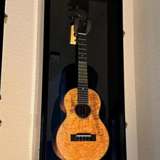 Ukulele Display Case Violin