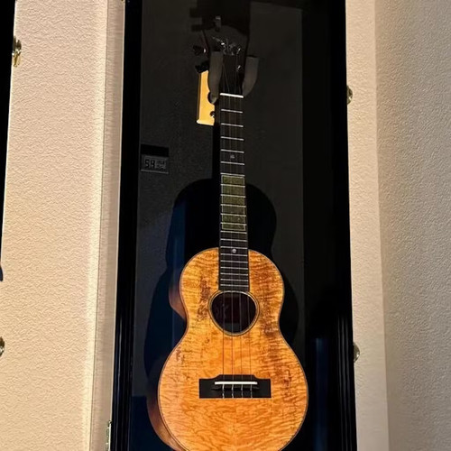 Ukulele display case violin - ukulele,