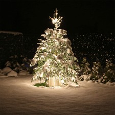 CLGarden Premium LED