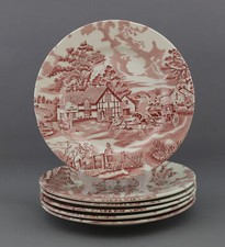 Ein Speiseteller 24cm