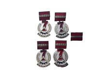 Abzeichen - Orden - Aktivist -