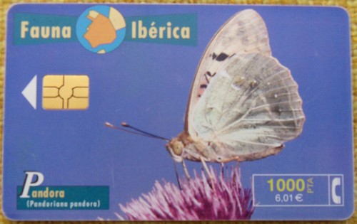 Telefonkarte spanien fauna - telefonkarte,