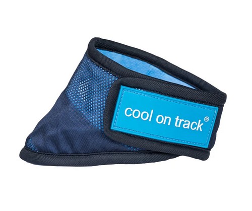 Back track cool - back, on