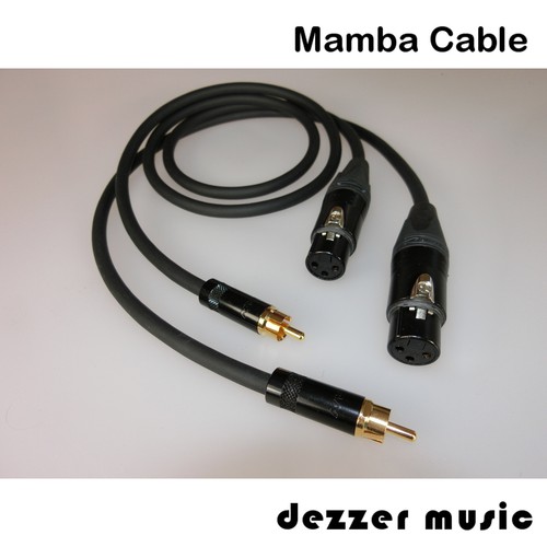 Adapterkabel dynamic - 2x,