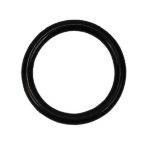 O-Ring für