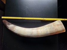 Rufhorn / Signalhorn /