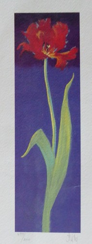 Nel whatmore papagei tulpen - whatmore,