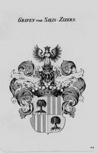 1820 - Salis Zizers Wappen