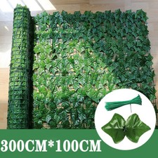 3-30M Sichtschutzhecke