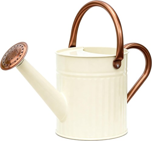 Gießkanne zimmerpflanzen 9l - gießkanne,