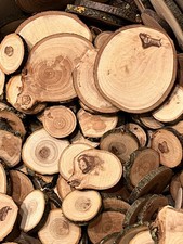 Baumscheiben Apfelholz 100 St