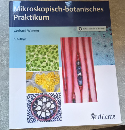 Thieme