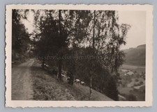 Landwassereck elzach vieh - landwassereck,