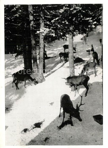 Altvatergebirge