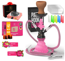 Shisha Set  komplett Reise 2 Schläuche 30cm Kohle  Kohlenanzünder Dampfsteine