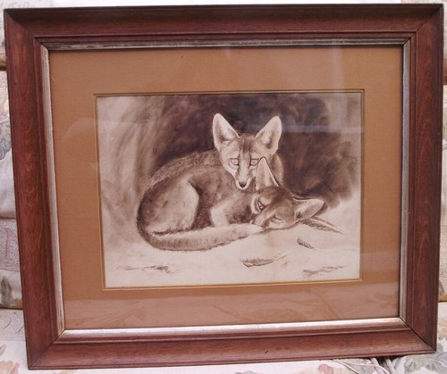 Original sepia aquarell - original,