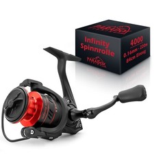 Paradox Fishing Infinty