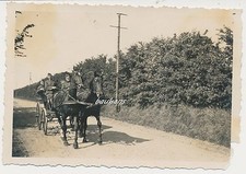 Foto Wehrmacht Pferdegespann
