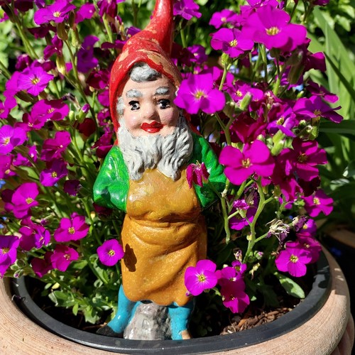Alter gartenzwerg mit - alter,