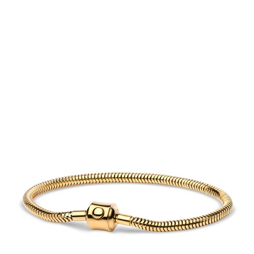 Bering arctic symphony gold - -,