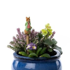 Cane Companion Beatrix Potter