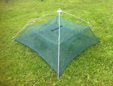 ☀️☀️☀️☀️☀️