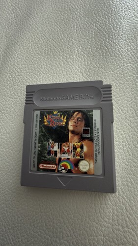 Nintendo game boy wwf king - -,