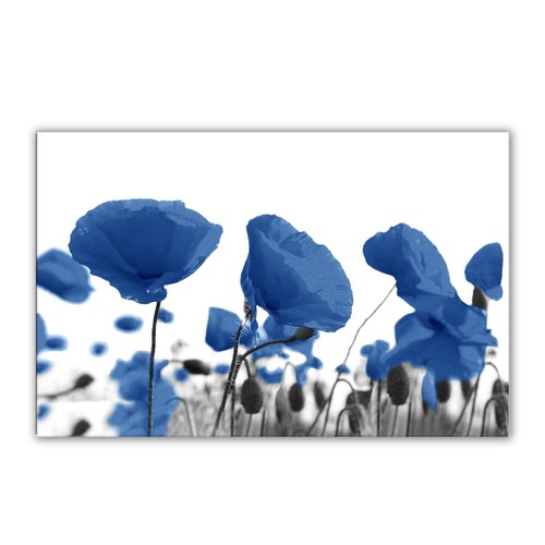 Gerahmtes leinwandbild blumen - gerahmtes,