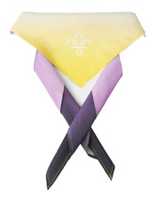 Boy scouts pride - scouts,