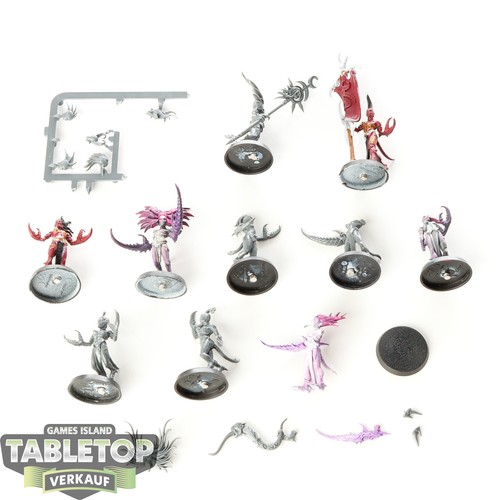 Hedonites slaanesh 10x - -,