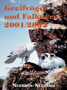 Greifvögel und falknerei - greifvögel,