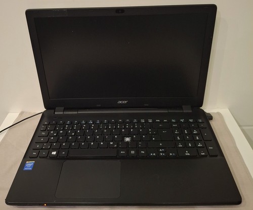 Acer extensa - acer, 2509