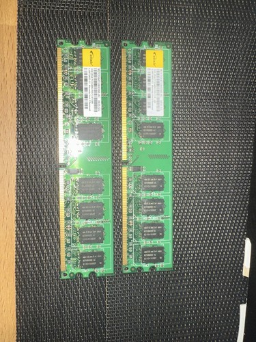 2gb rx8 pc2 6400u - 2gb, 6400u-555-13-e
