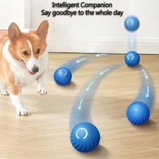 Interaktiver hundespielzeug - interaktiver,