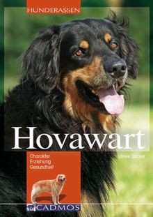 Hovawart charakter erziehung - hovawart:,