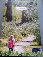 Handbuch, Fattoria La Vialla, Kochbuch, Kultur, Demeter, Italien, Anbau.