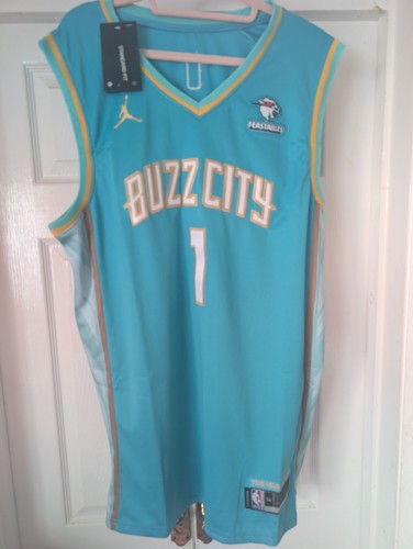 Nba charlotte hornets - charlotte,