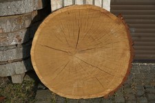 Baumscheibe Tischplatte Eiche
