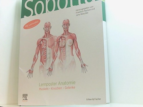 Sobotta lernposter anatomie - lernposter,