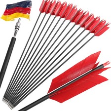 12pcs Carbonpfeile SP500